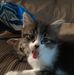 Doug Shivers - Facebook