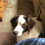 Doug Shutt - Facebook