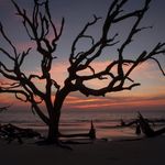 Doug - @shutterbugdoug - Instagram