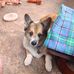 Doug Sinclair - Facebook