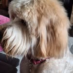 Doug Sinclair - @dougsinclair4 - Instagram