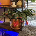 Doug Sleeth - Facebook