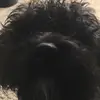 dougscha - @dougscha - TikTok