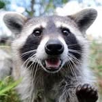 Doug Spooner - @doug.spooner.319 - Instagram