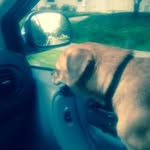 Doug Stacey - @doug.stacey.77 - Instagram