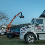 Doug Stanley Tree - @stanley_tree_and_landscaping - Instagram