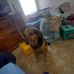 Douglas Stanton - Facebook
