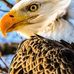 Doug Starr - Facebook