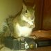Doug Starr - Facebook