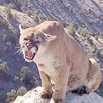 Doug Starr - @starrguideservice - Instagram
