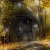 Doug Steinke599 - @user297658525049 - TikTok
