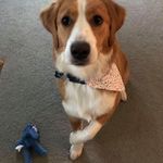 Doug Stephenson - @doug.stephenson23 - Instagram