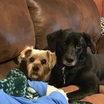 Douglas Stover - @dougstover1 - Instagram