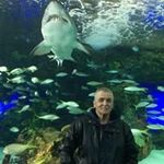 Doug Strachan - @doug_strachan - Instagram