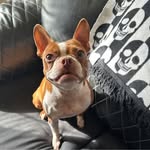 Doug Strong - @dougstrong - Instagram