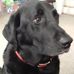 Doug Stubbs - Facebook