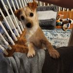 Jack Sullins - @douglasplayz1111 - Instagram