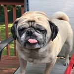 Doug Sullivan - @dougsully810 - Instagram
