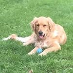Doug Sullivan - @doug.sullivan.31 - Instagram