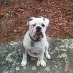 Doug Sullivan - @dougsullivan58 - Instagram