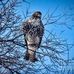 Doug Sullivan - Facebook