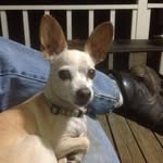 Doug Talley - @doug.talley.522 - Instagram