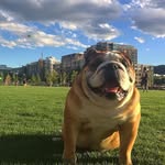 Doug Tharp - @tharp_doug - Instagram