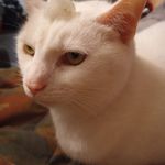 Doug Toombs - @dougt18 - Instagram