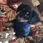 Douglas - @douglas.toombs - Instagram
