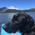 Doug Trapp - @doug.trapp.1 - Instagram