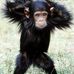Doug Vanderhoff - Facebook