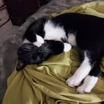 Doug Vandyke - @vandyke3814 - Instagram