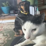 Doug and Savanno - @doug.vanno.uptonogood - Instagram
