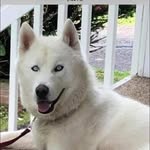 Doug Van Nispen - @dougvannispen - Instagram