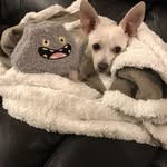Doug Vann - @mayhem550 - Instagram