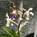 Doug Varley - @dougvarley - Instagram