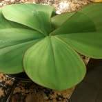 Doug Varley - Facebook