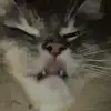 doug veith - @doug.veith1 - TikTok