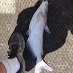 Doug Vickers - @doug.vickers.148 - Instagram