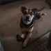 Doug Vickers - Facebook