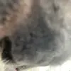 douglasvickers3 - @gabe7500 - TikTok