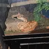Douglas Vogel - @douglas.vogel2 - TikTok