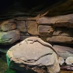 Doug Wade - @doug.wade.7334504 - Instagram