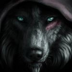 Doug Wade - @doug.wade.5688 - Instagram