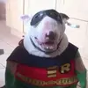 b - @dougalthewaffle - TikTok
