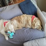Doug Waite - @dwwaite70 - Instagram