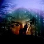 Doug Wakefield - @dougwakefield2 - Instagram