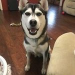 William Waldrep - @william_waldrep.douglas - Instagram