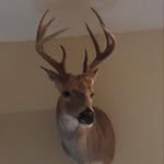 Doug Waldrop - @waldrop.doug - Instagram