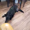 Doug - @dougwalton44 - TikTok